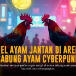 Menguak Kehebatan Ayam Bangkok di Sabung Ayam SV388